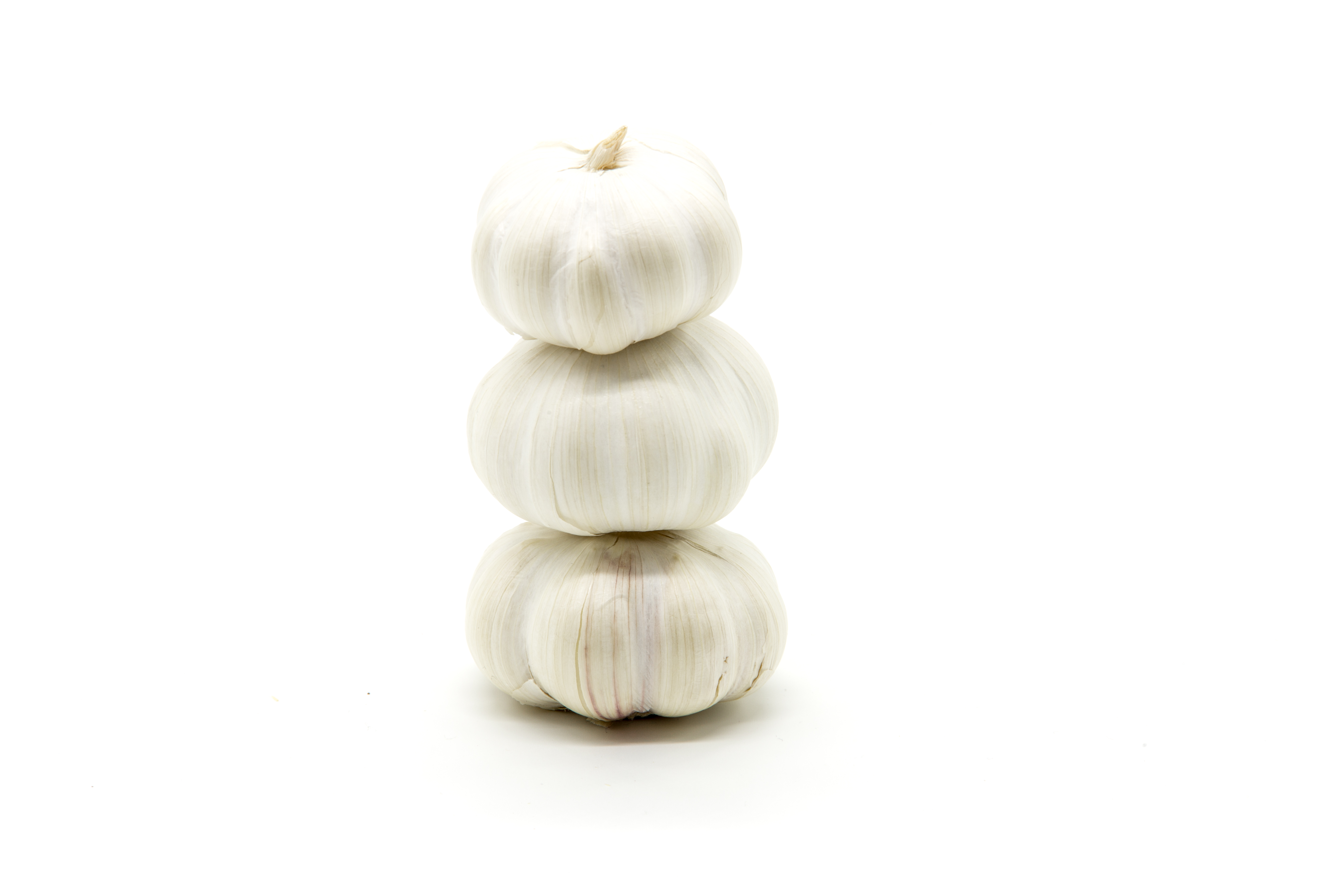 Premium garlic bulbs