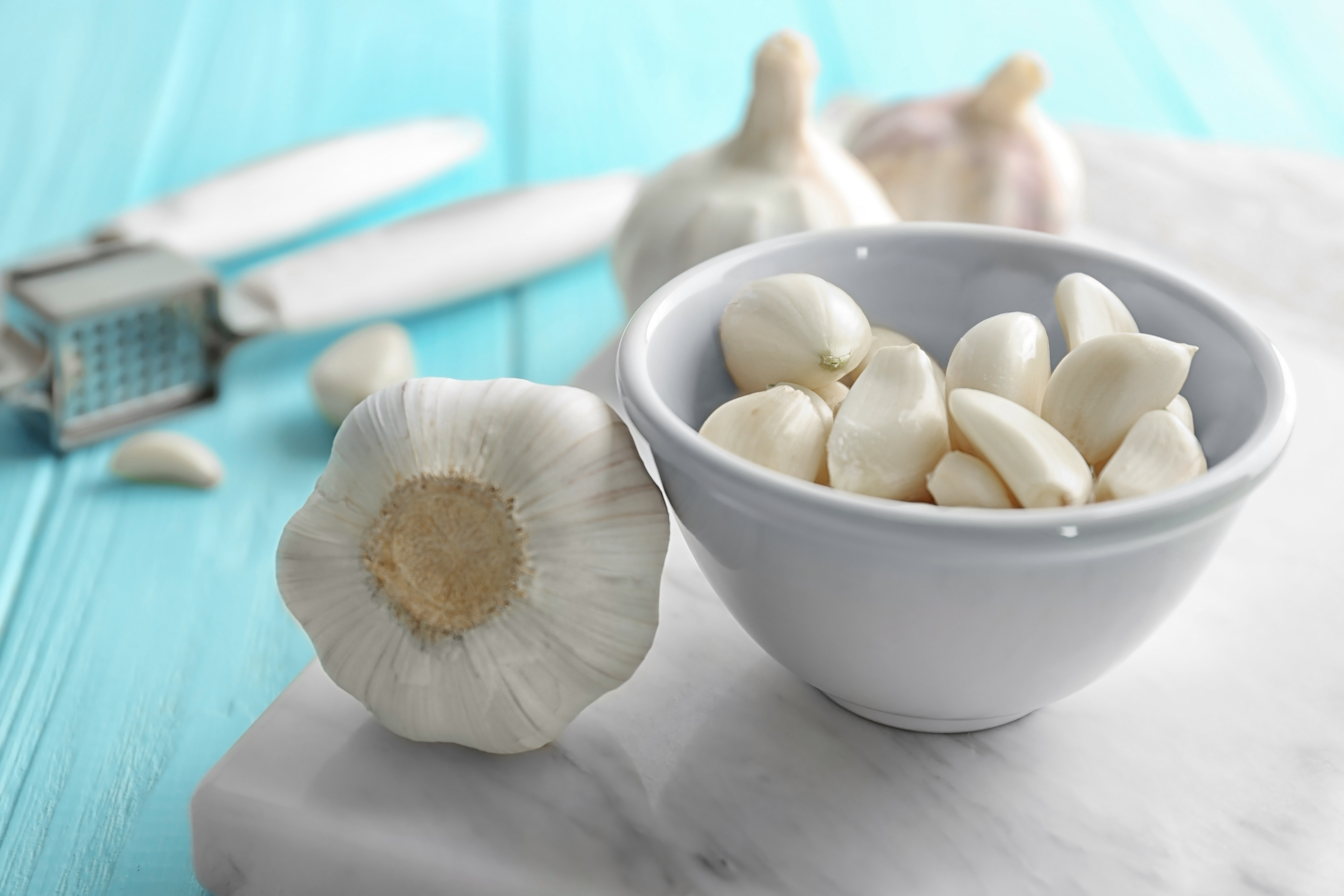 Garlic quality close-up